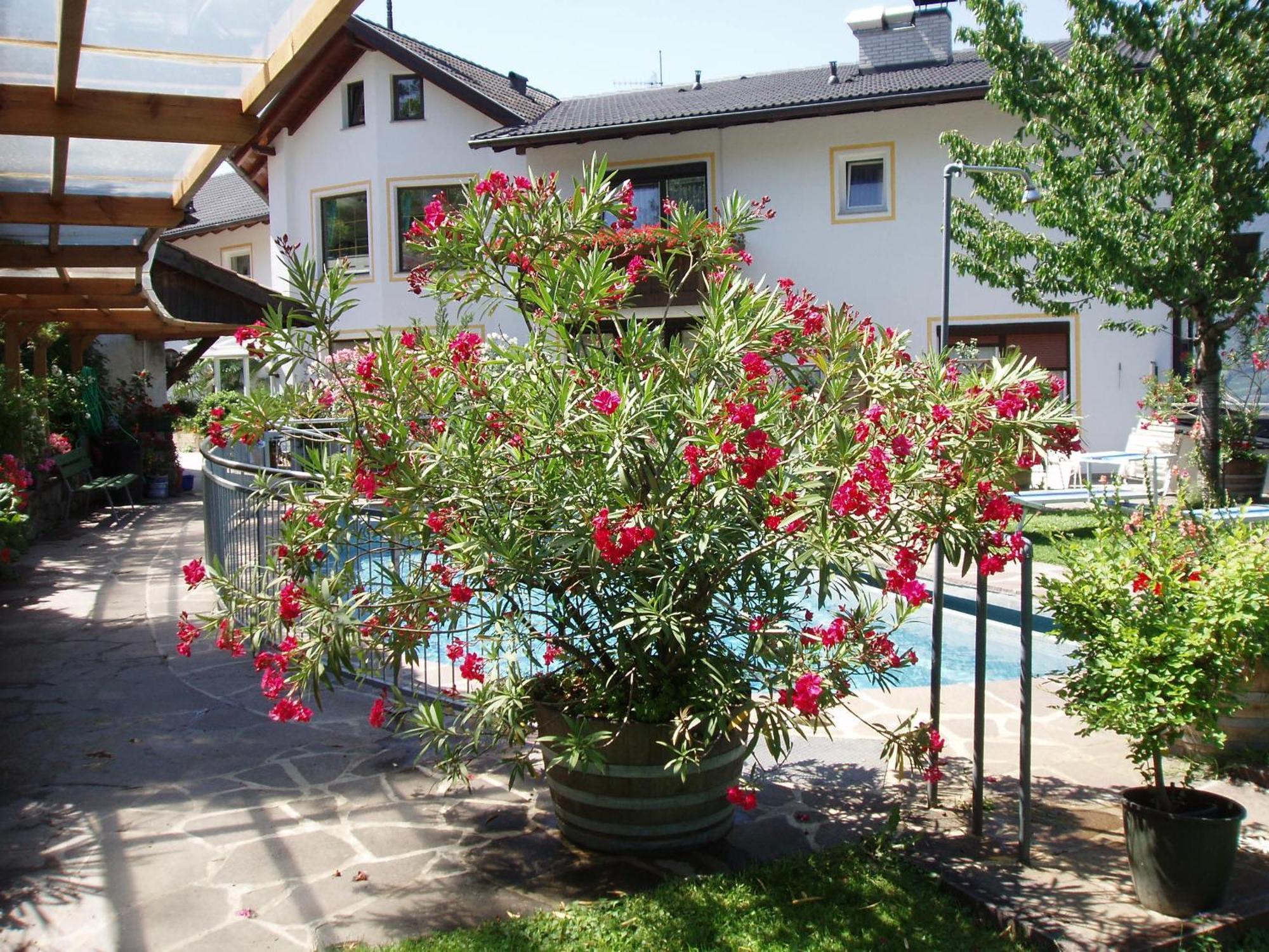 Hotel Bellevue Tirolo Esterno foto