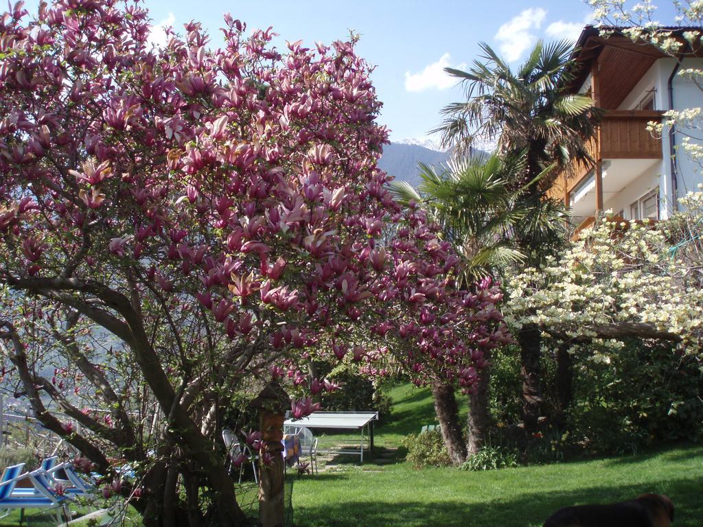 Hotel Bellevue Tirolo Esterno foto